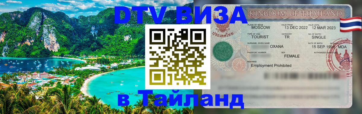 Сколько стоит DTV виза — актуальные цены, оформление даже без документов - Долгопрудный  20.11.2025 